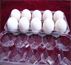 Plastic-egg-tray