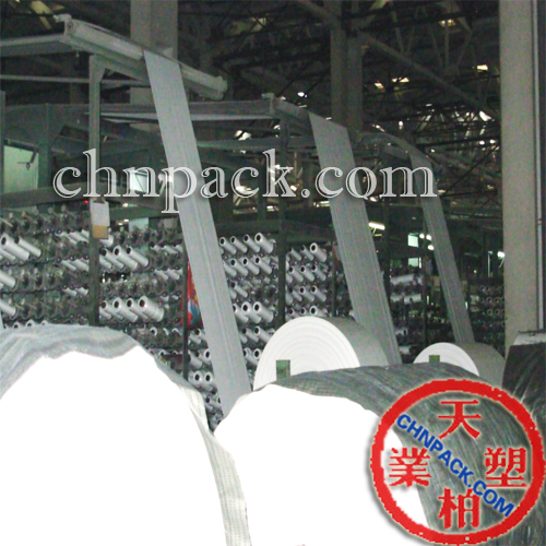 Tianbai- China PP woven bag factory