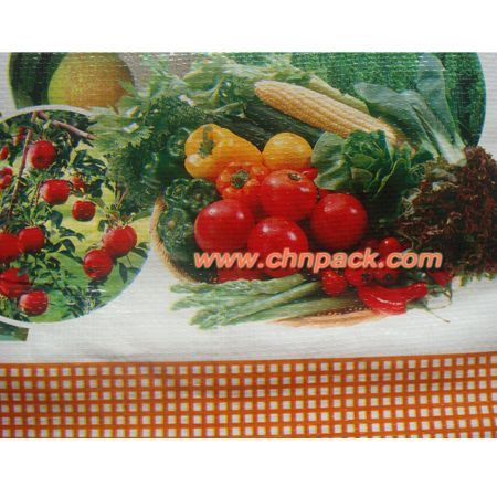 Coated woven bag